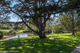 <center>Le parc de Maison Blanche.</center>Cédre du Liban, arbre remarquable. La ville de Marseille désireuse d'y installer un arboretum fit recenser tous les arbres -certains plusieurs fois centenaires- et apposer des plaques explicatives sur la nature des végétaux.