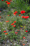 <center>Bords de l'Huveaune.</center>